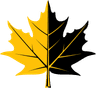 Ikh Govi Energy LLC